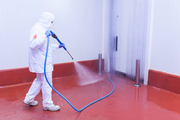 Reliable Bonifay, FL Pressure Washing Services Solutions
